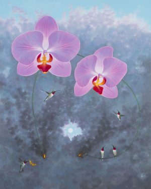 Phalaenopsis on a Fuse... Five Ruby Throats