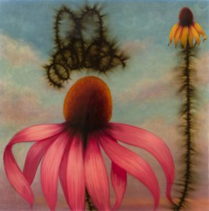 Bee and Pink Cone Flower