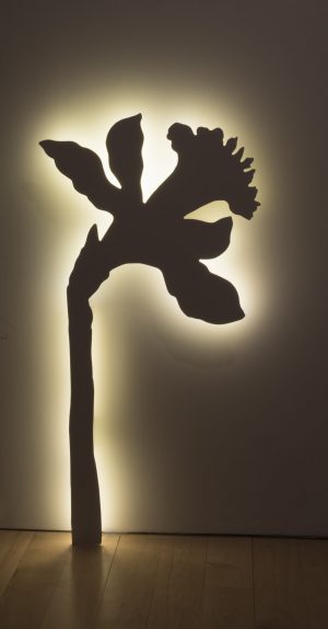 Neon Daffodil