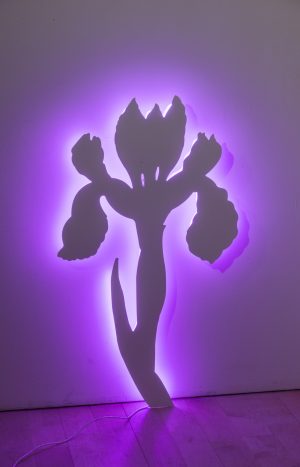 Neon Iris