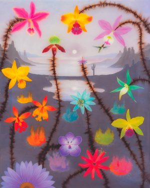 Night Blooms Over Nymphs