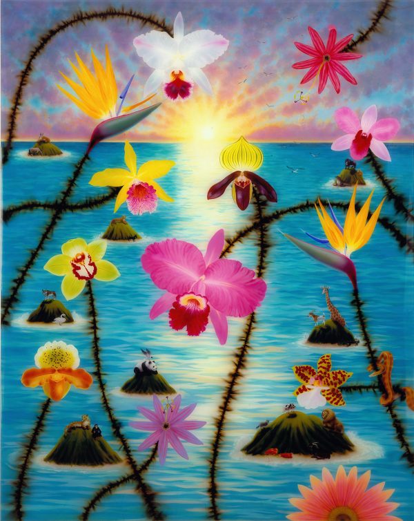 Orchids Over Animal Isles