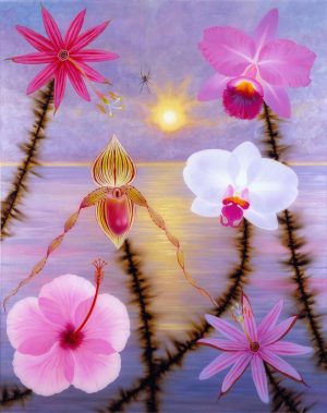 Orchids and Arachnid