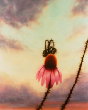 Bee and End All