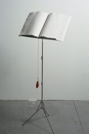 Braille Playboy On Music Stand