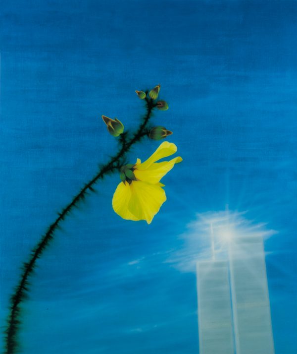 Hibiscus Over Twin Towers