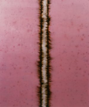 Pink Split