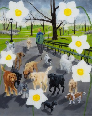 Daffodils Over Dogwalker