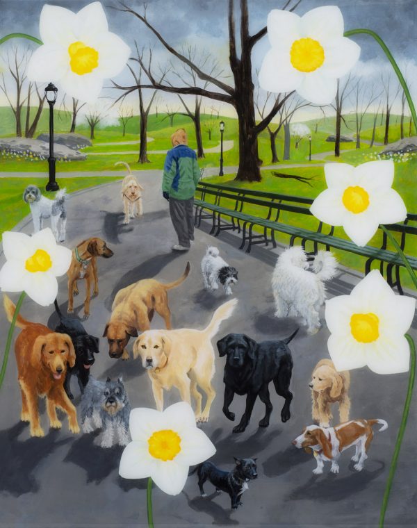 Daffodils Over Dogwalker