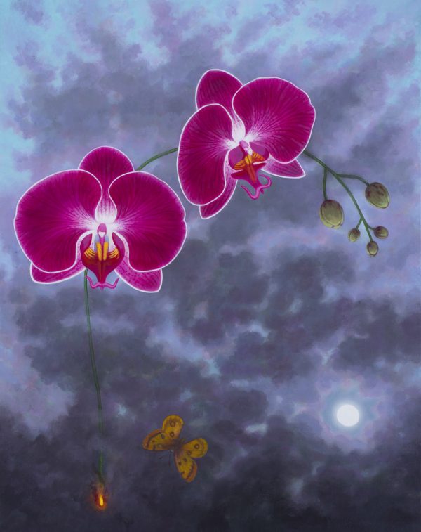 Fiery Phalaenopsis Over Butterfly