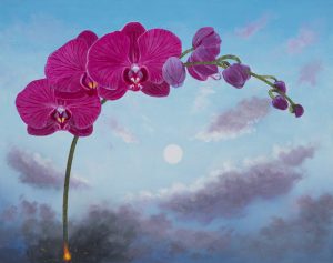 Flowers on a Fuse Phalaenopsis