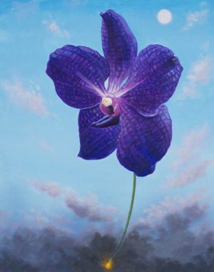 Flowers on a Fuse Vanda