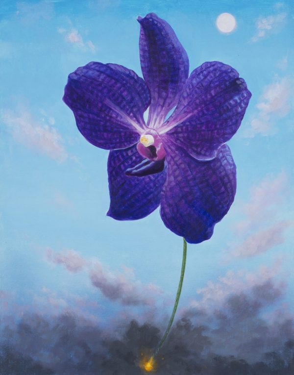 Flowers on a Fuse Vanda