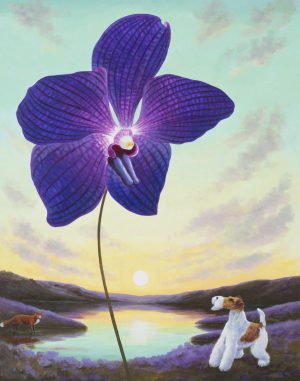 Sky High Vanda