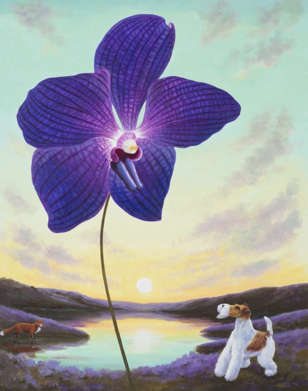 Sky High Vanda