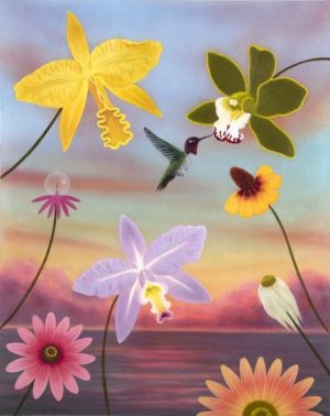 Sunset Over Cymbidium