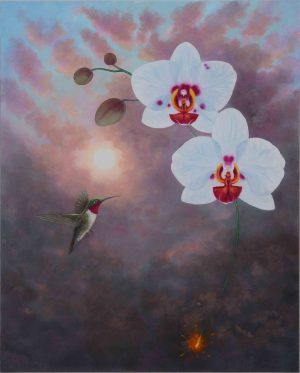 Spotted Phalaenopsis Over Hummingbird