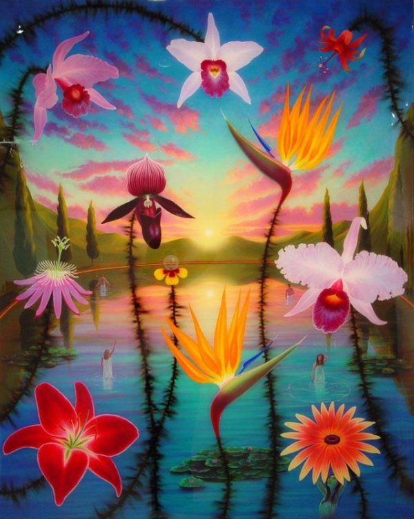 Sunrise Over Sleepwalkers