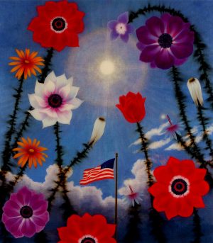 Anemones of the State