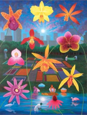 Night Bloomers Over Lawn-Dry